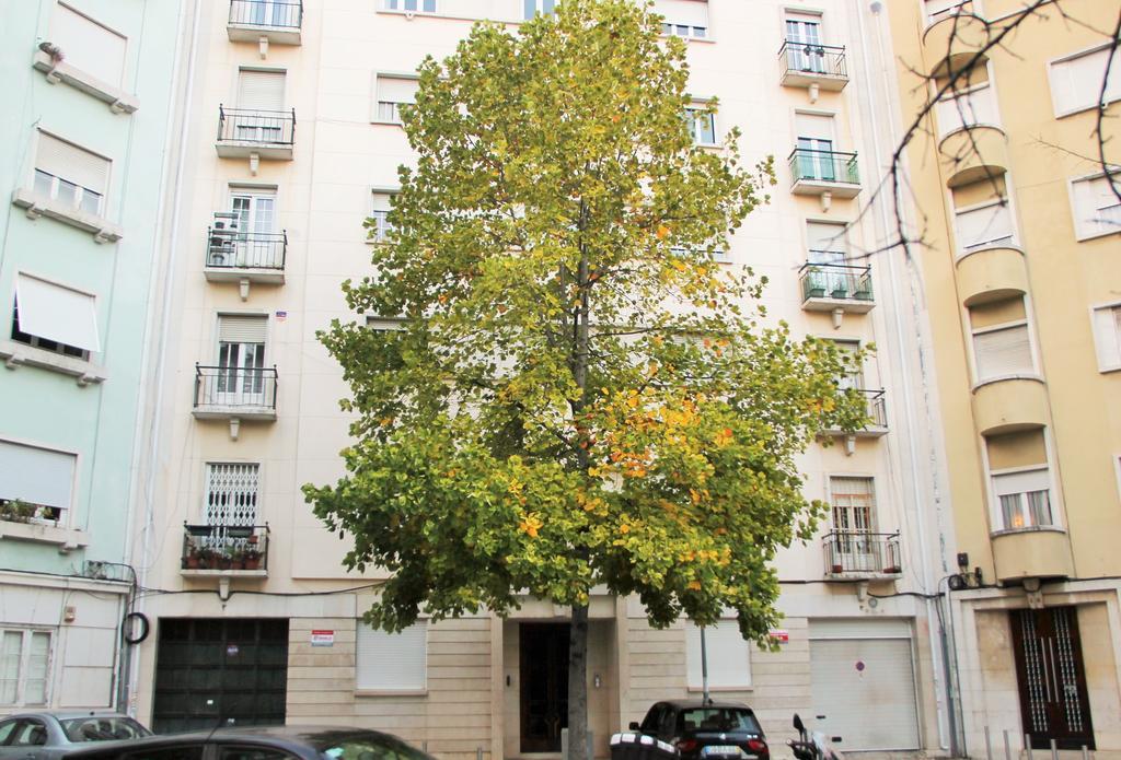 Apartamento Casa da Praceta Lisboa Exterior foto